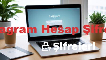 Instagram Hesap Şifreleri