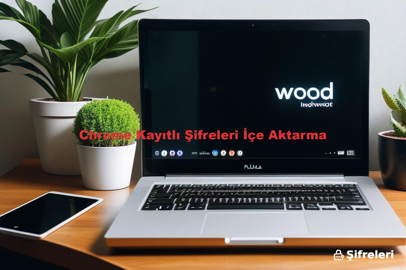 Chrome Kayıtlı Şifreleri İçe Aktarma