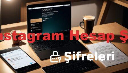 Fake Instagram Hesap Şifreleri