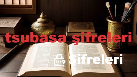 tsubasa şifreleri