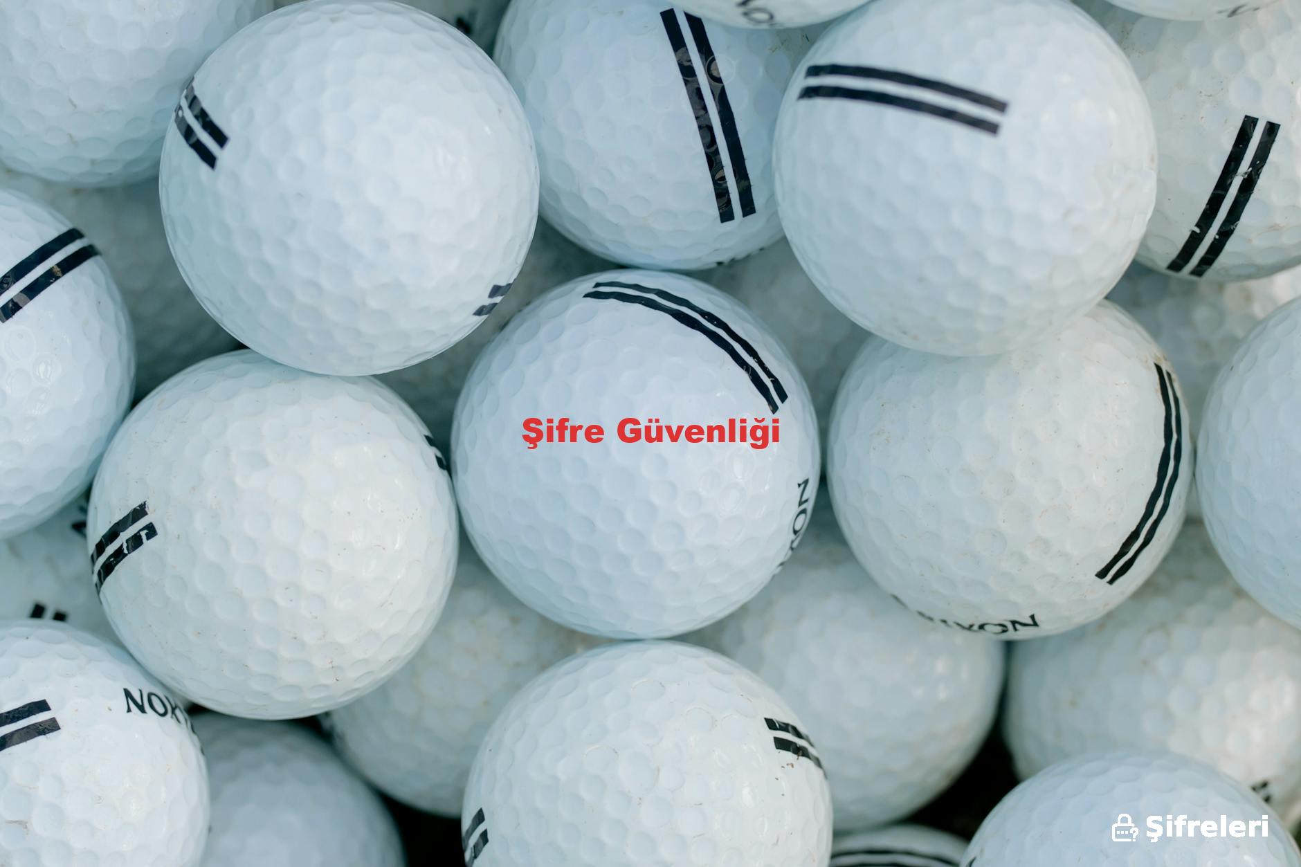 Şifre Güvenliği