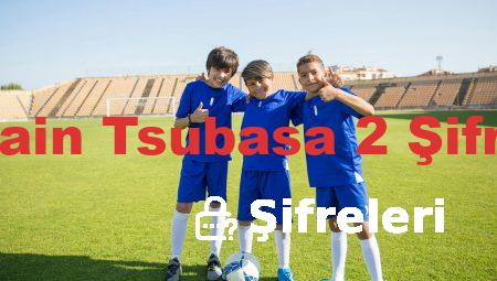 Captain Tsubasa 2 Şifreleri