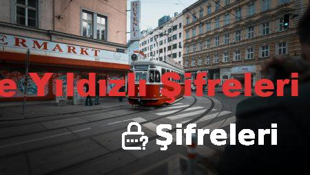 Chrome Yıldızlı Şifreleri Görme