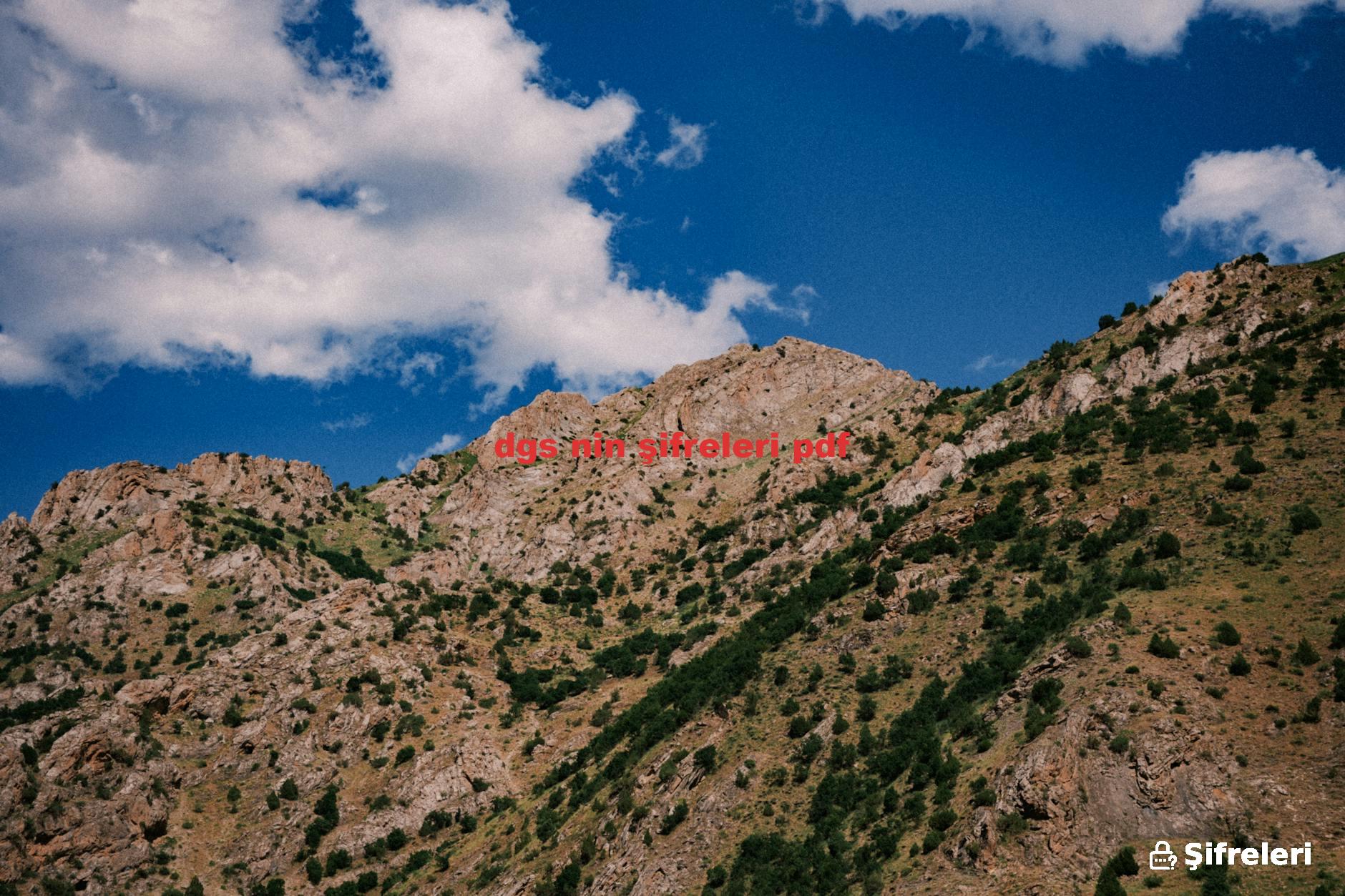 dgs nin şifreleri pdf