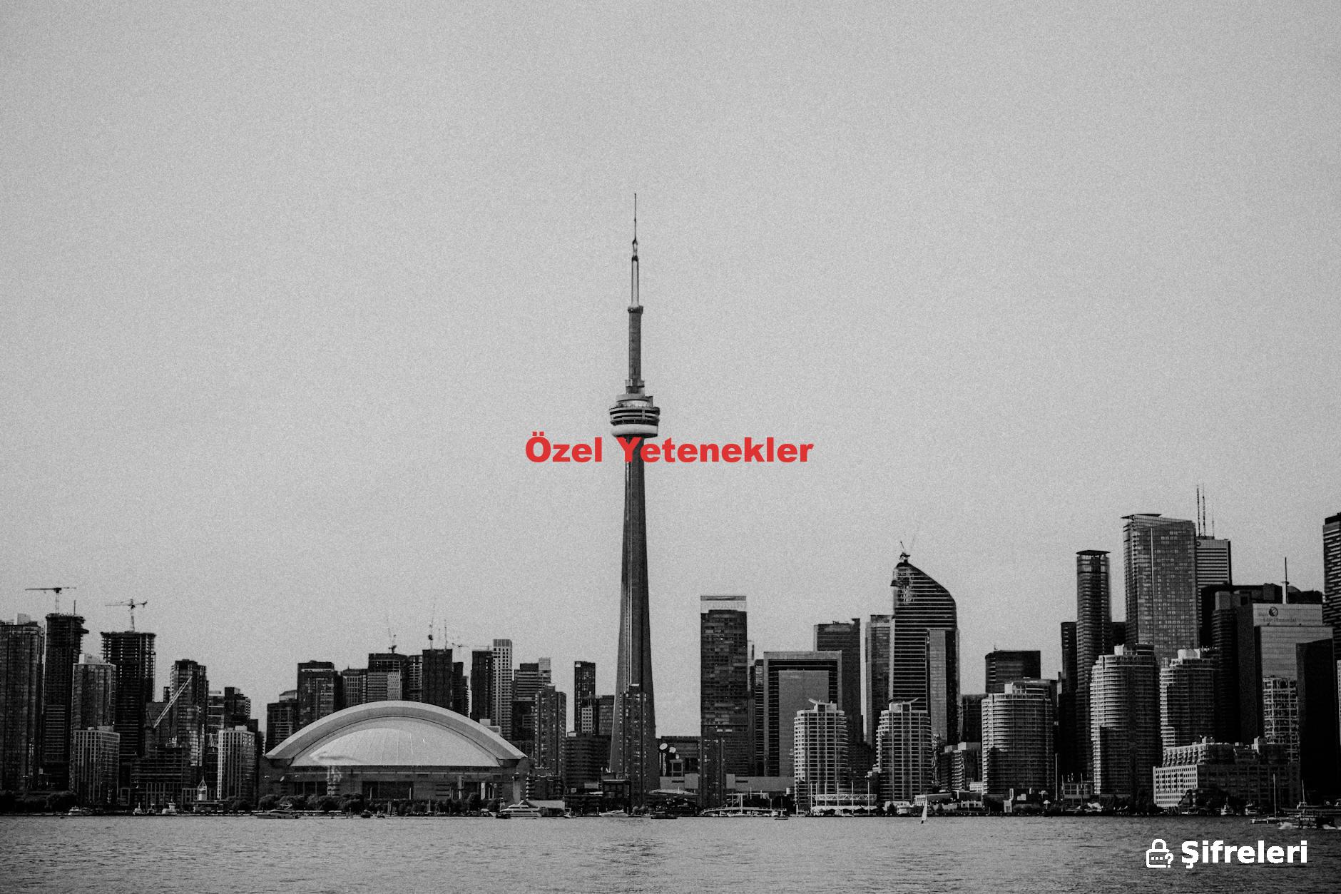 Özel Yetenekler