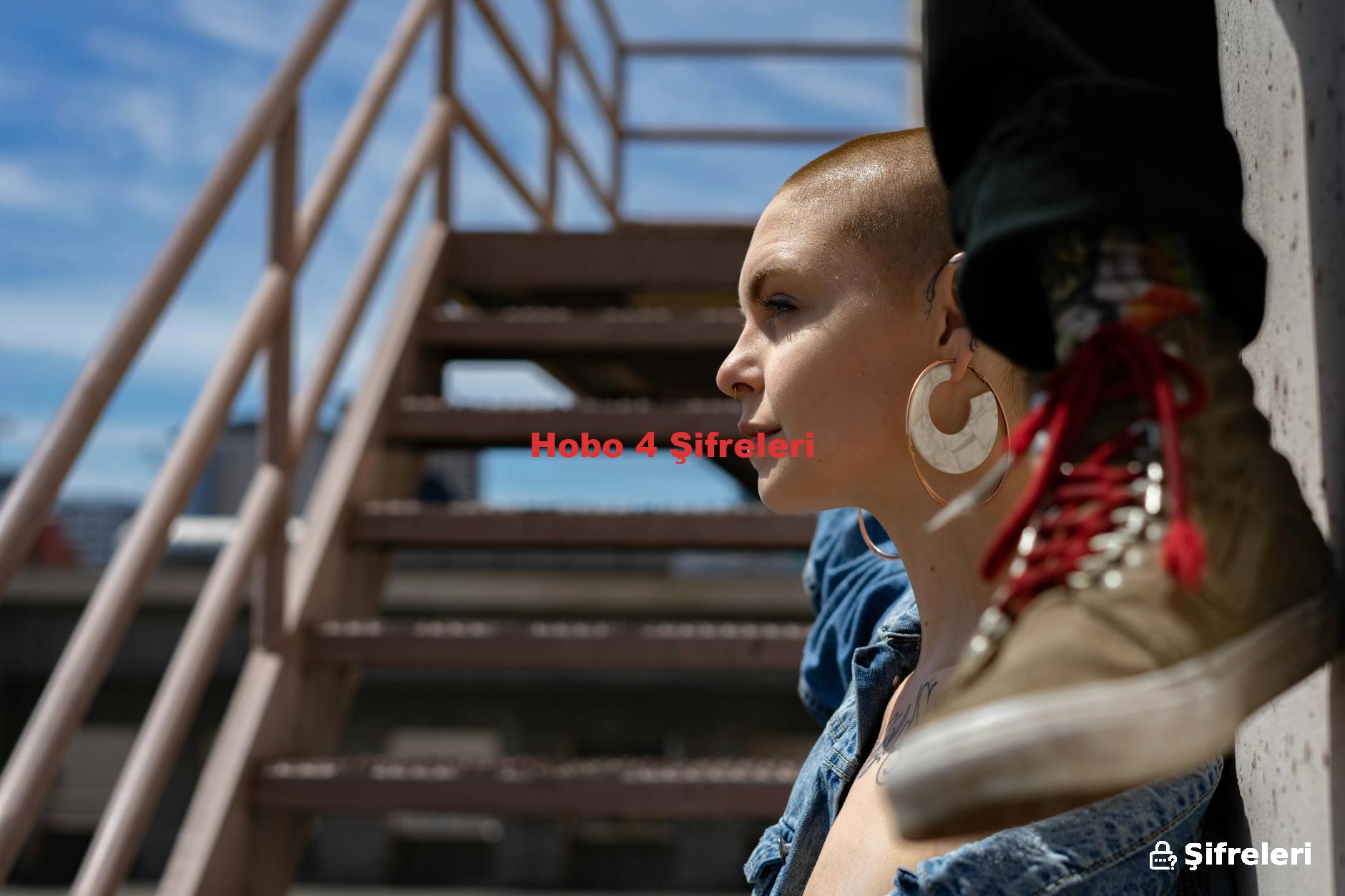 Hobo 4 Şifreleri