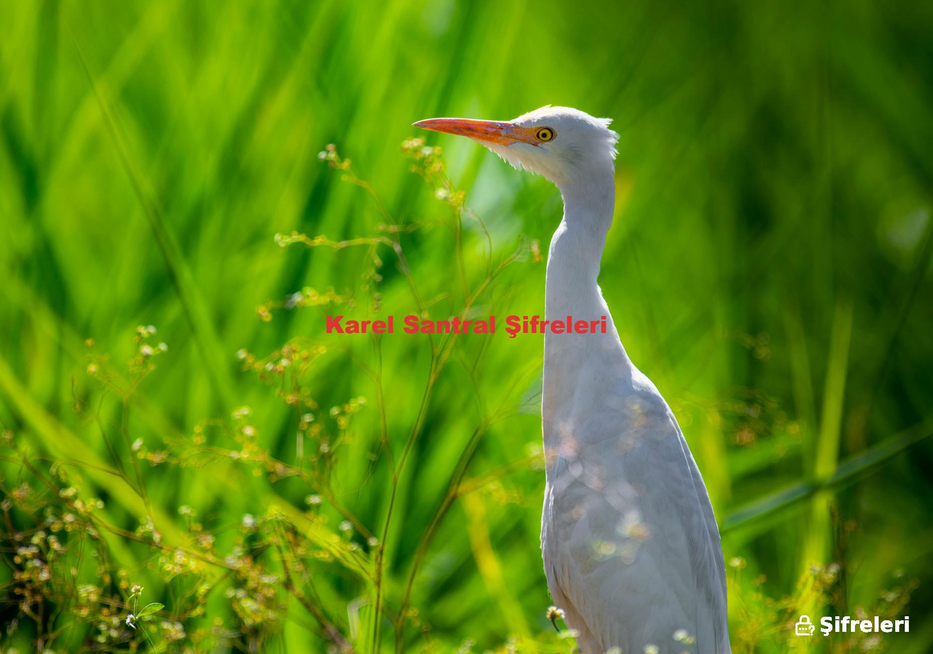 Karel Santral Şifreleri