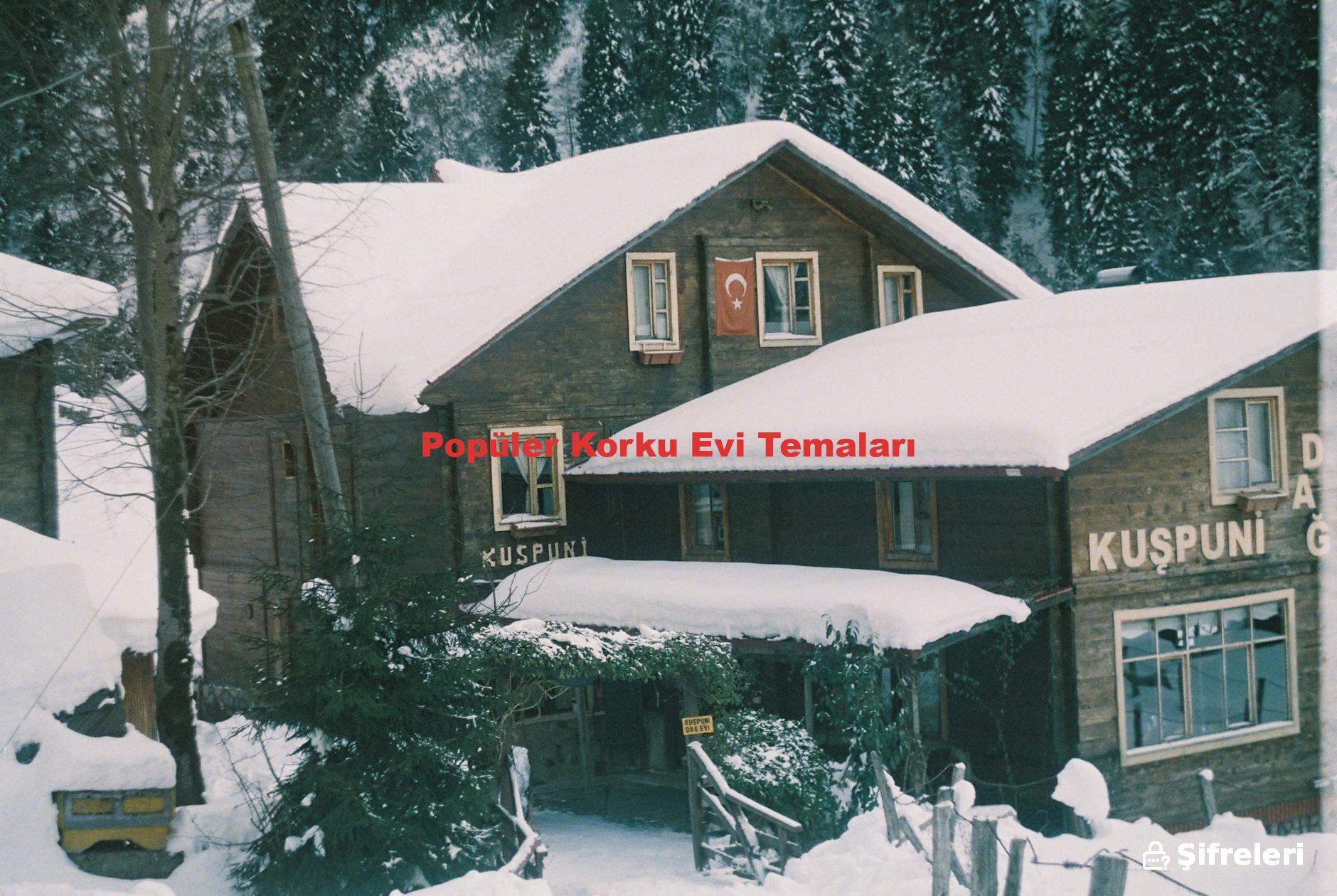 Popüler Korku Evi Temaları