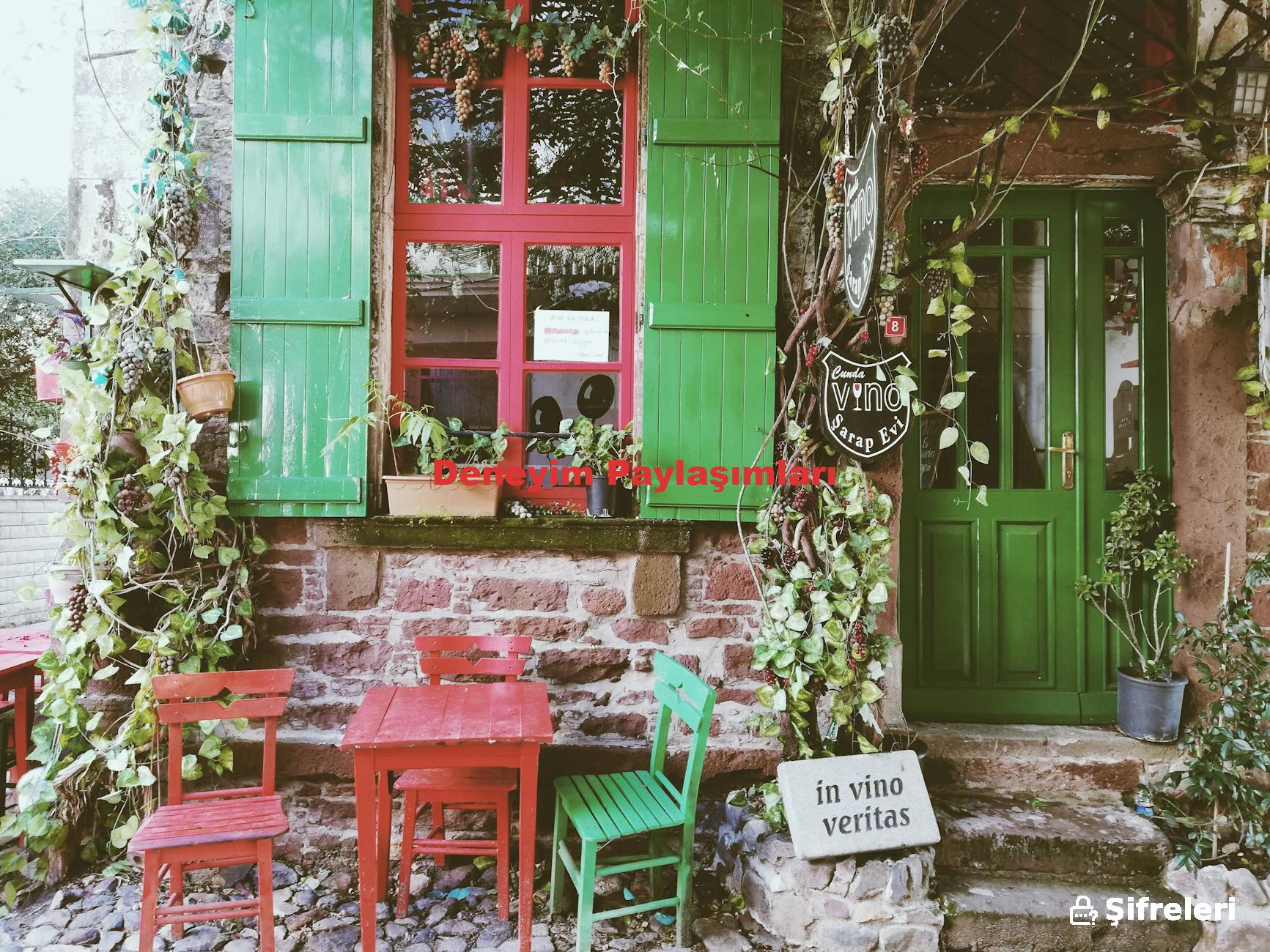Deneyim Paylaşımları