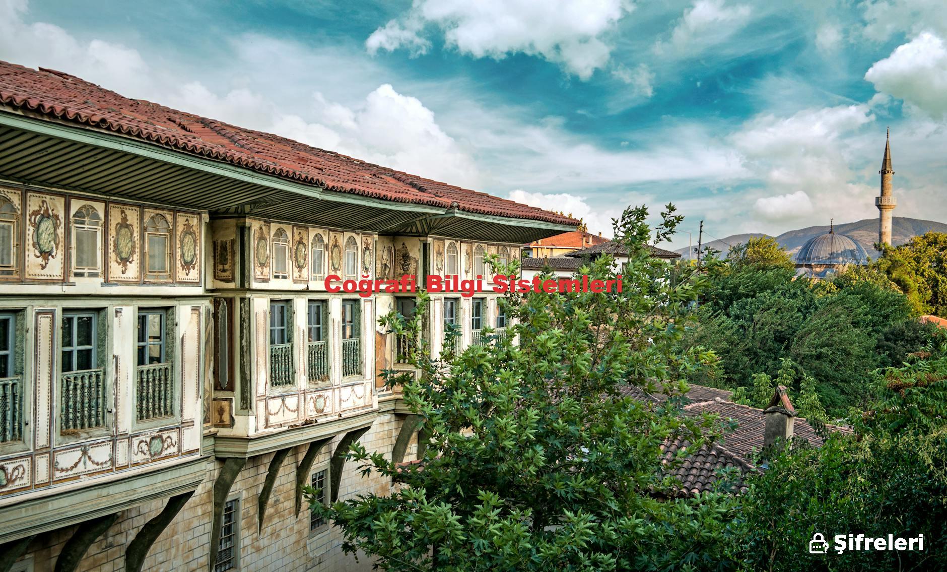 Coğrafi Bilgi Sistemleri