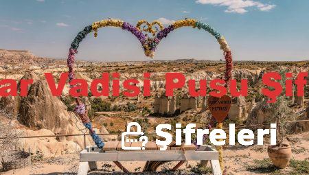 Kurtlar Vadisi Pusu Şifreleri