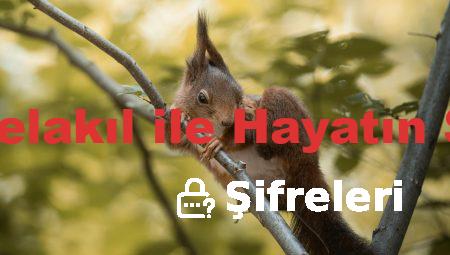 Ömer Çelakıl ile Hayatın Şifreleri