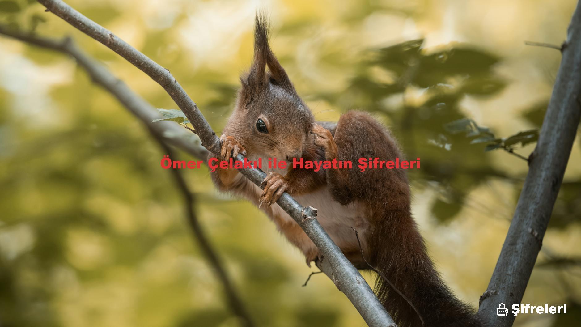 Ömer Çelakıl ile Hayatın Şifreleri