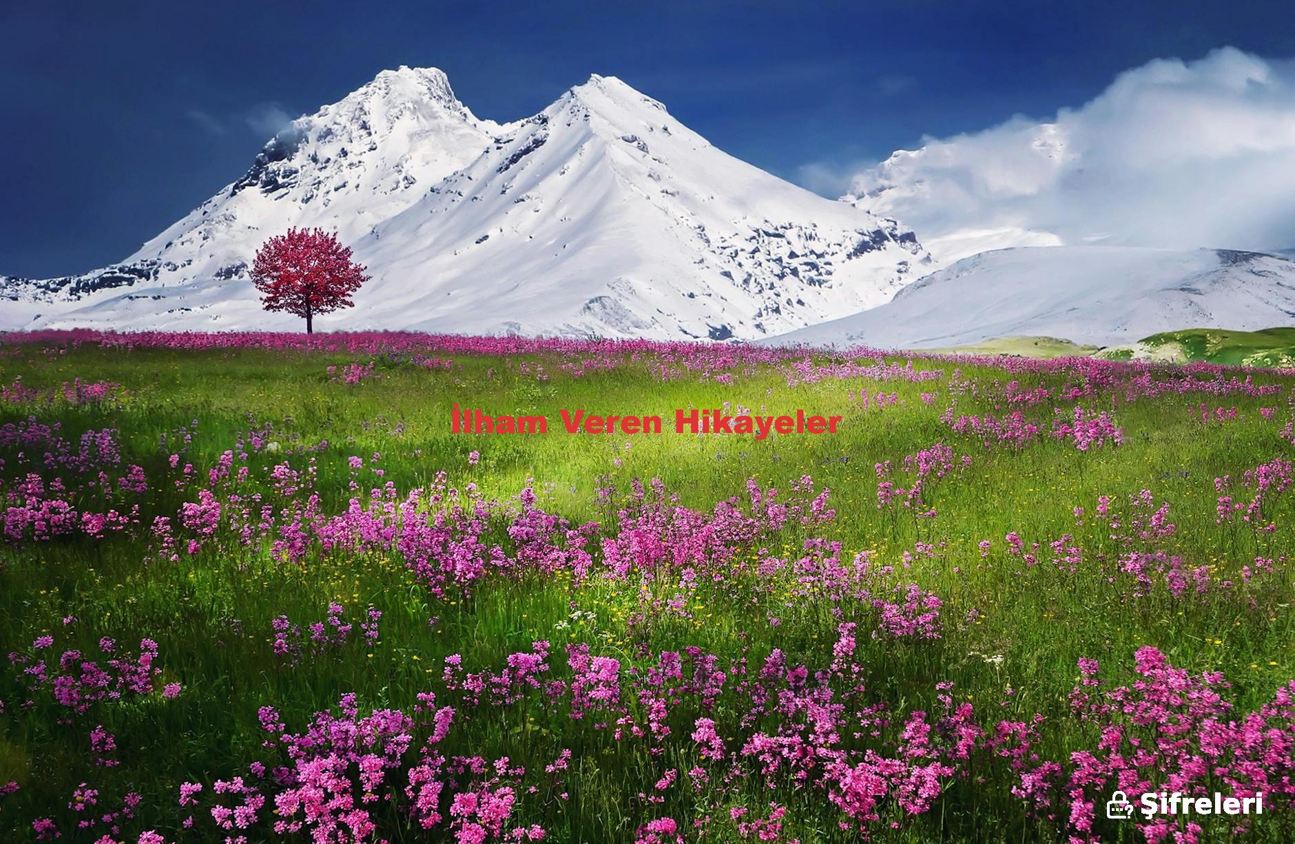 İlham Veren Hikayeler