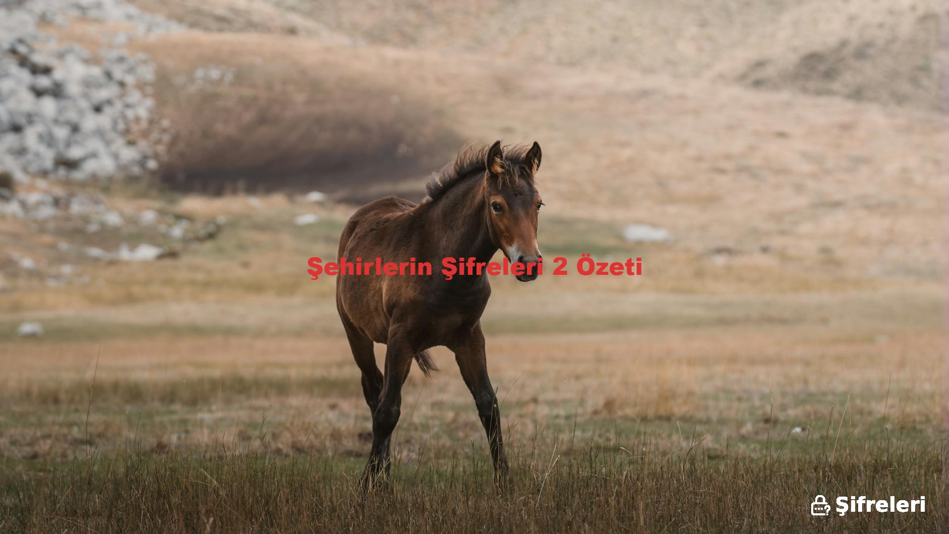 Şehirlerin Şifreleri 2 Özeti