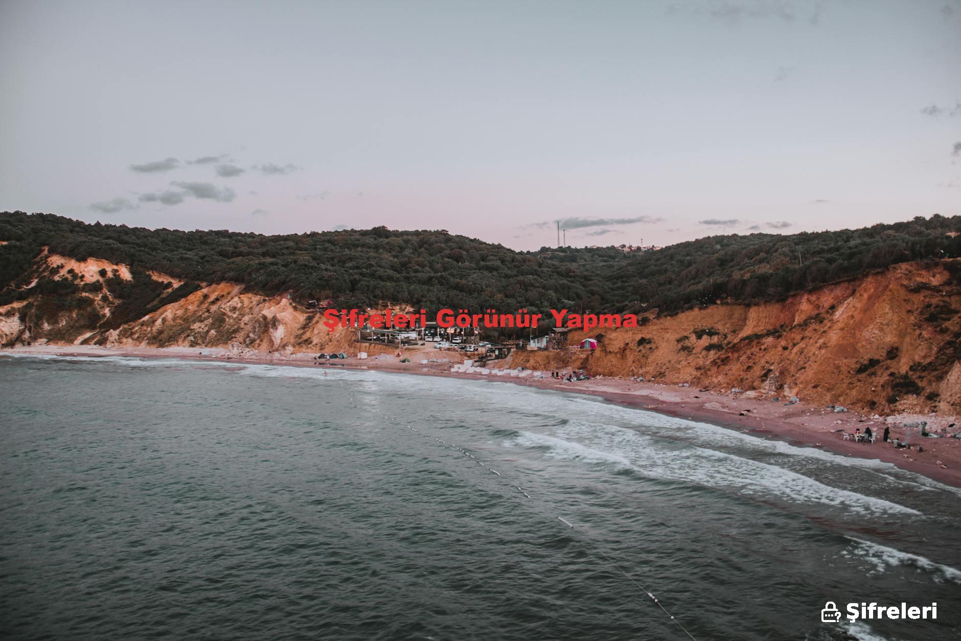 Şifreleri Görünür Yapma