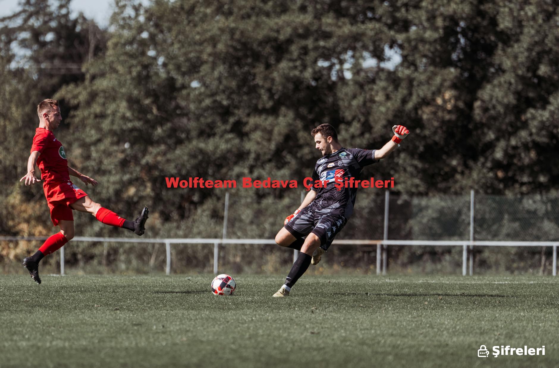 Wolfteam Bedava Çar Şifreleri