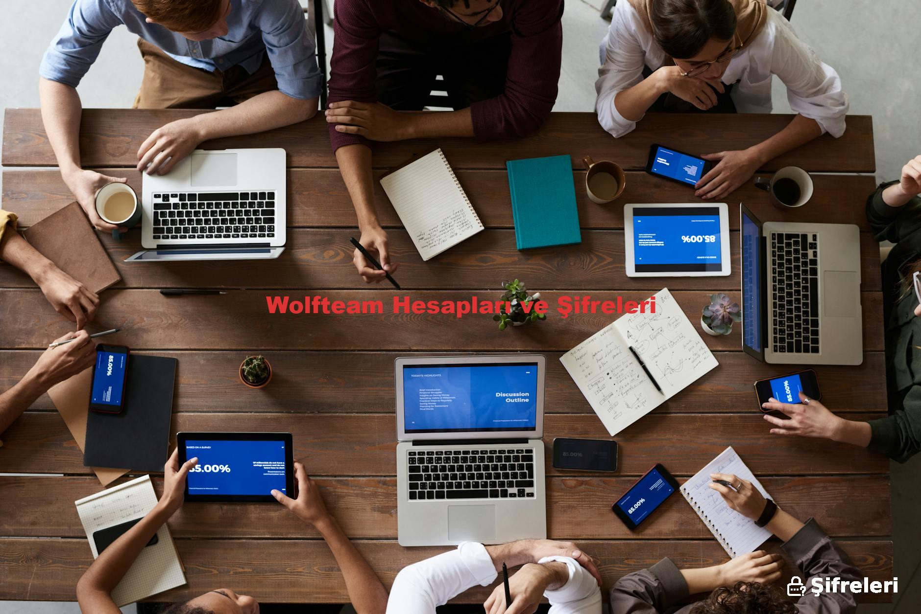 Wolfteam Hesapları ve Şifreleri