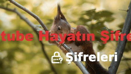 Youtube Hayatın Şifreleri