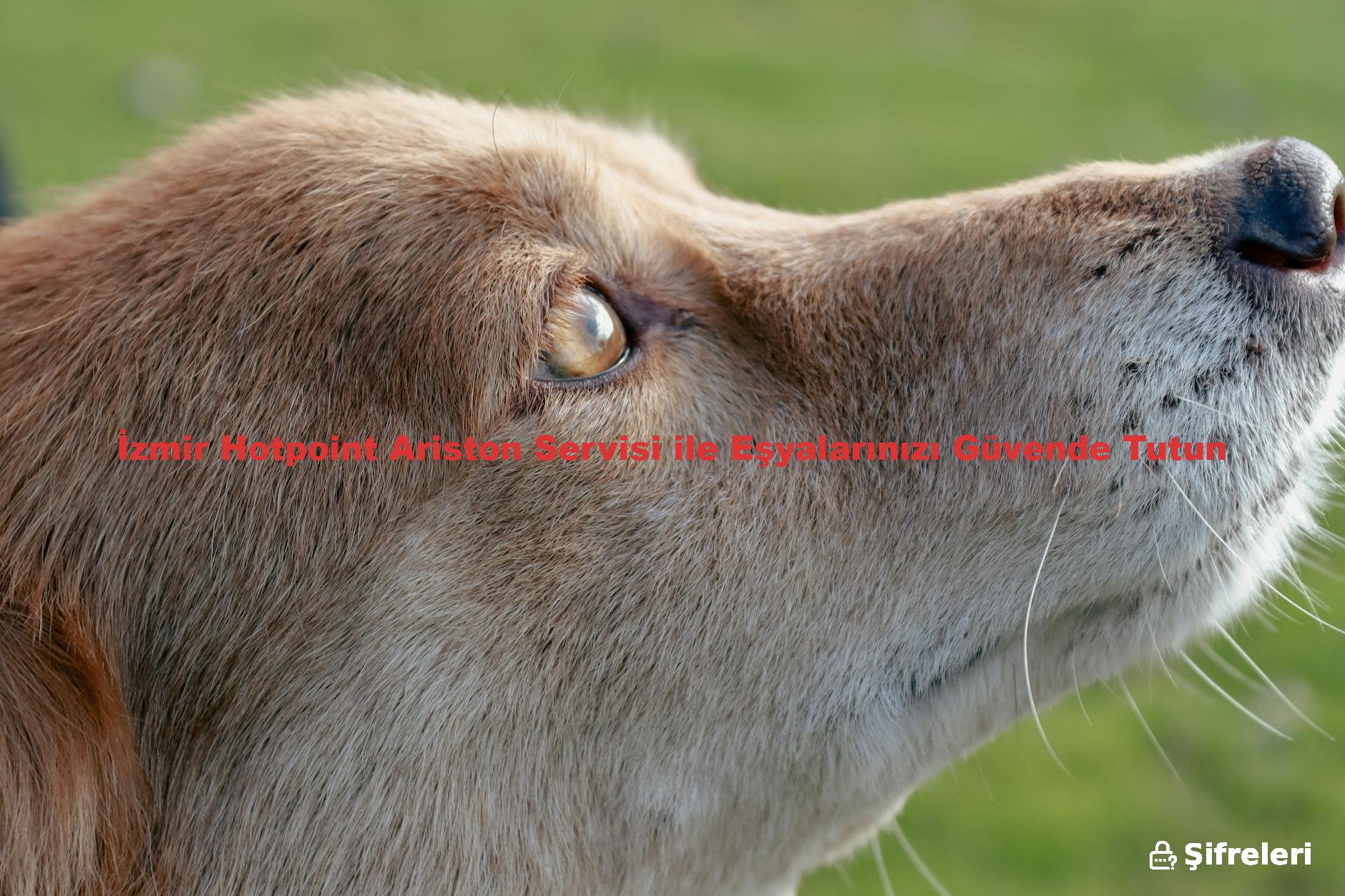 İzmir Hotpoint Ariston Servisi ile Eşyalarınızı Güvende Tutun