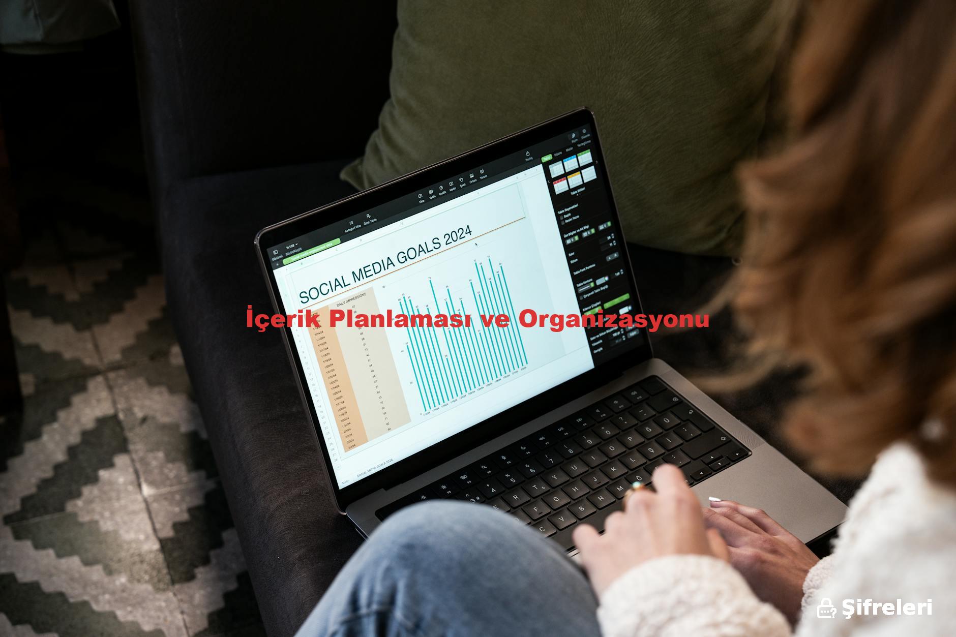 İçerik Planlaması ve Organizasyonu