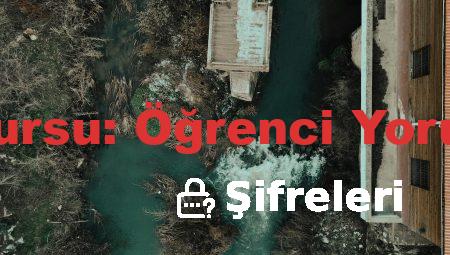 Pendik’te İngilizce Kursu: Öğrenci Yorumları ve Deneyimler