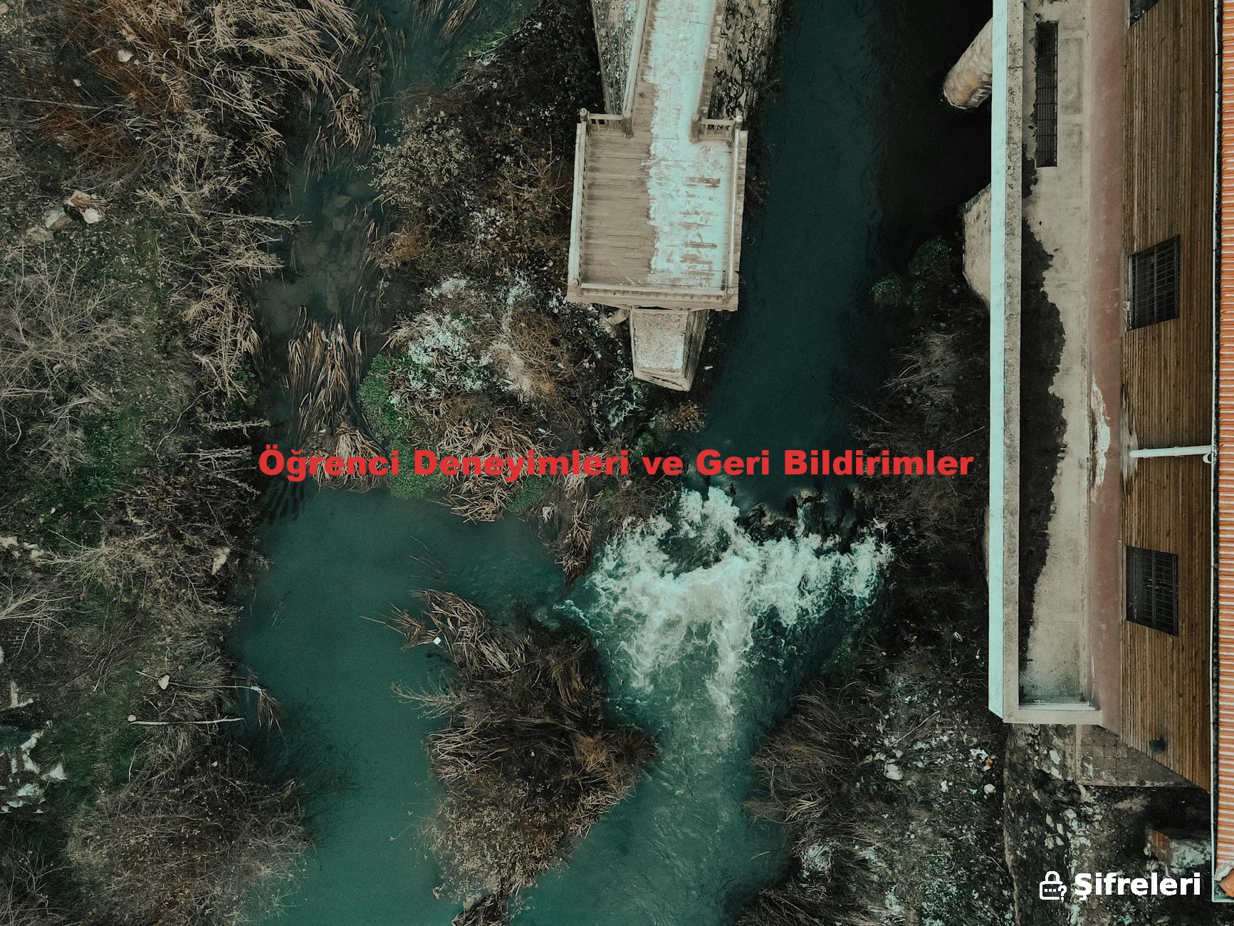 Öğrenci Deneyimleri ve Geri Bildirimler