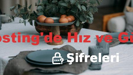 WordPress Hosting’de Hız ve Güvenlik İlişkisi