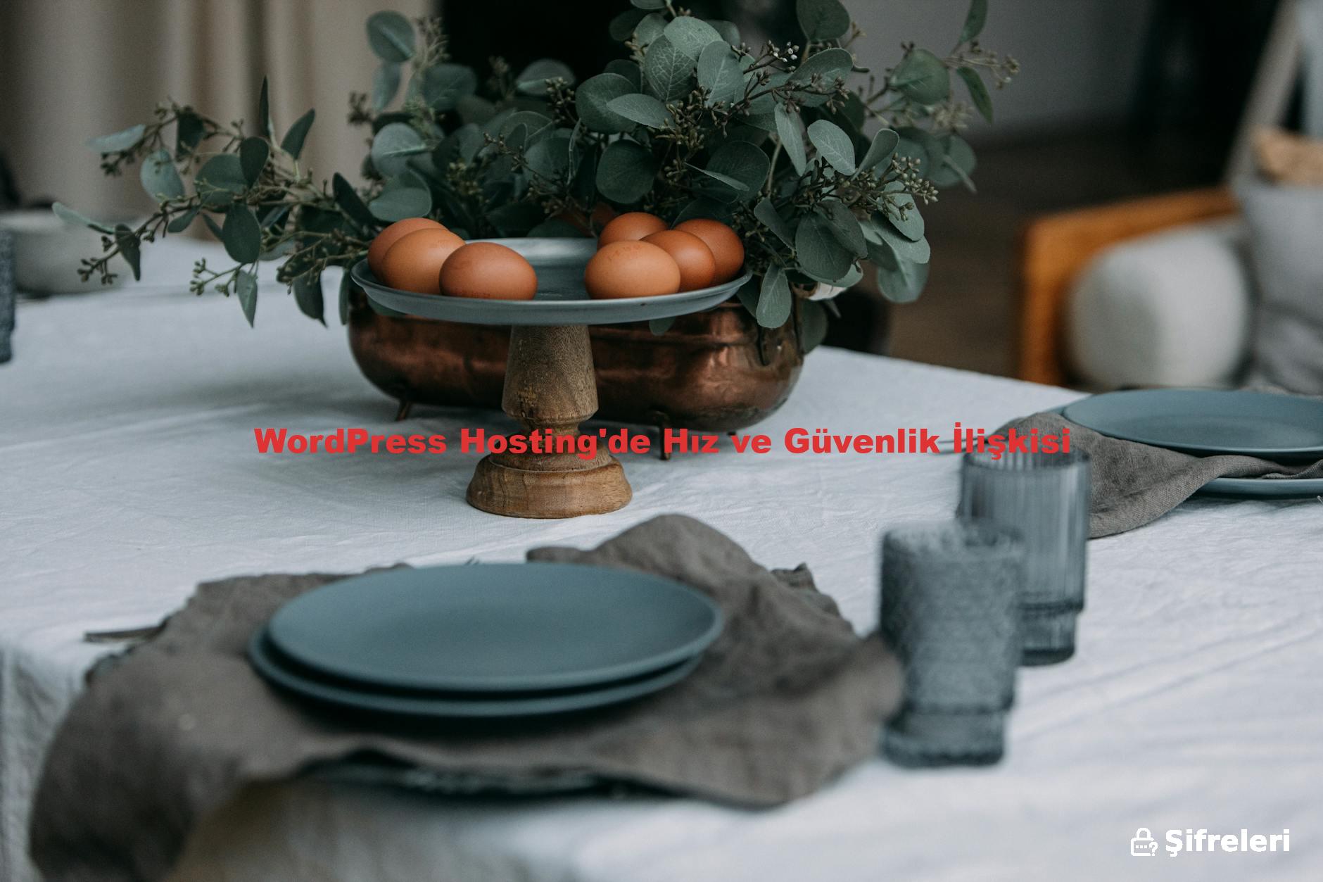 WordPress Hosting'de Hız ve Güvenlik İlişkisi