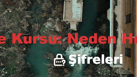Maltepe’de İngilizce Kursu: Neden Hızla Popülerleşiyor?
