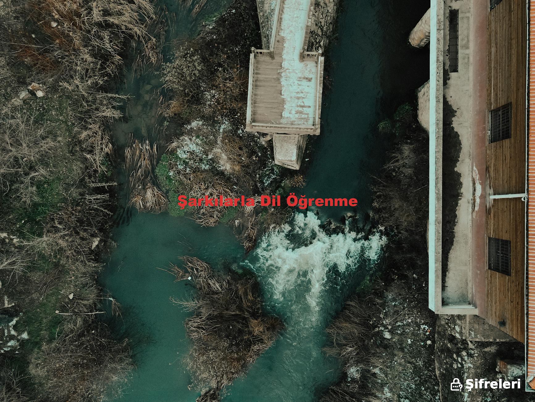 Şarkılarla Dil Öğrenme