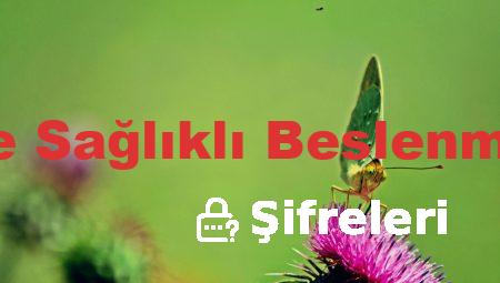 Tavsiyelerle Sağlıklı Beslenmenin Önemi