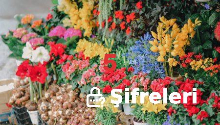 Aksaray’da Çiçek Gönderirken En Çok Tercih Edilenler