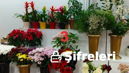 Online Çiçek Gönderiminde Floksia’nın Avantajlarını Kaçırmayın