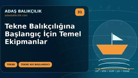 Tekne Balıkçılığına Başlangıç İçin Temel Ekipmanlar